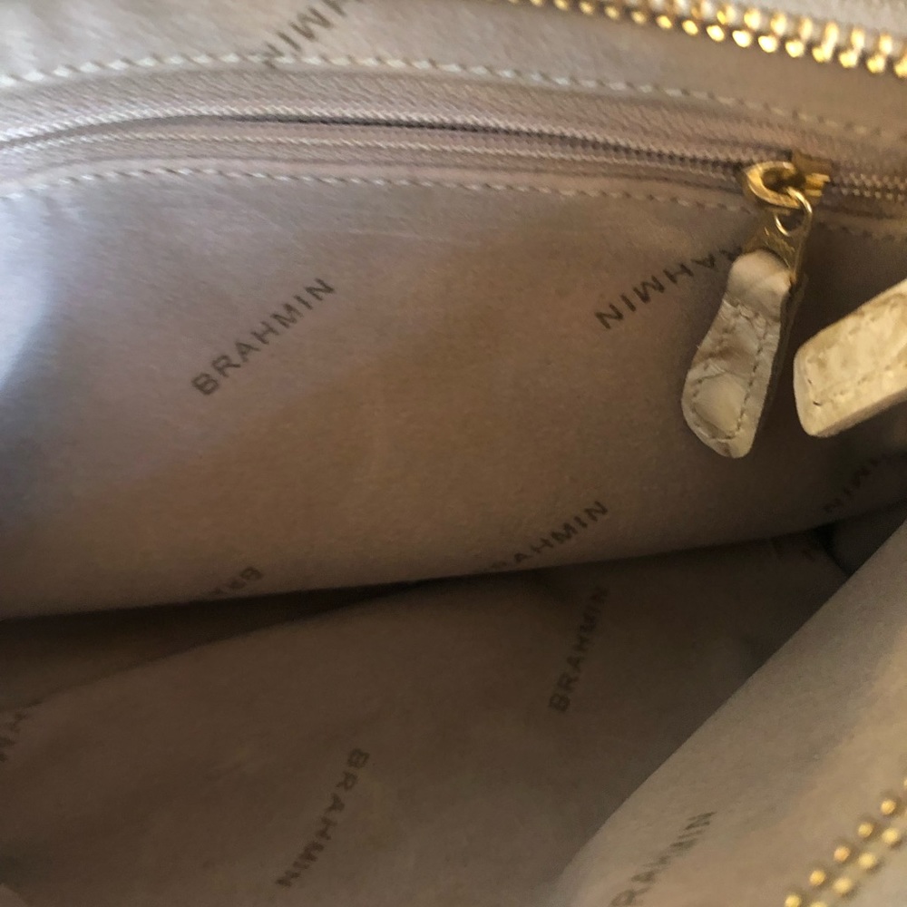Mini Brahmin 🥂 - Picture 5 of 6